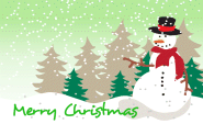 Christmas Photo Greeting Card 2