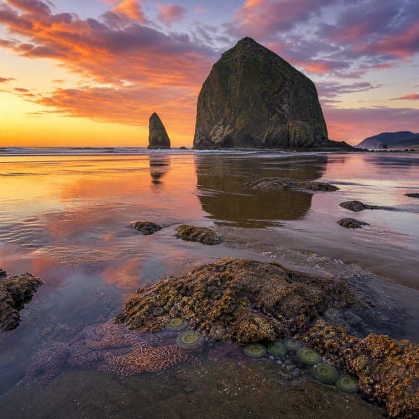 Haystack Rock jigsaw puzzle