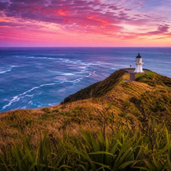 Cape Reinga jigsaw puzzle