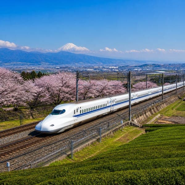 Blossoms and Bullet Train jigsaw puzzle