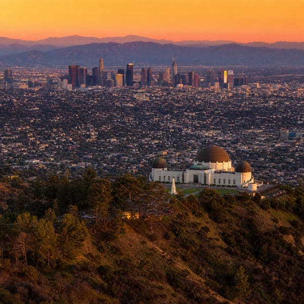 Los Angeles jigsaw puzzle