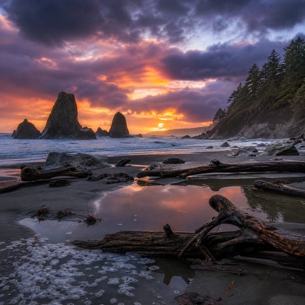 Ruby Beach jigsaw puzzle