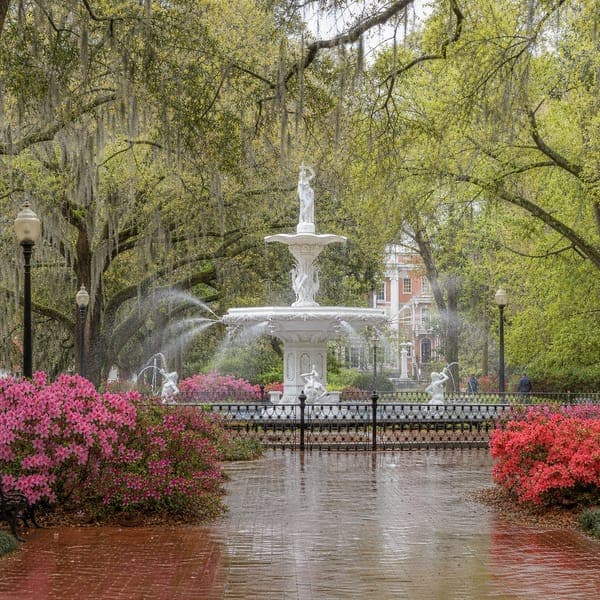 Savannah jigsaw puzzle