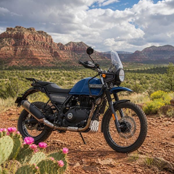 Scrambler, Red Mesa jigsaw puzzle — A blue scrambler among cactus flowers below red mesa country.