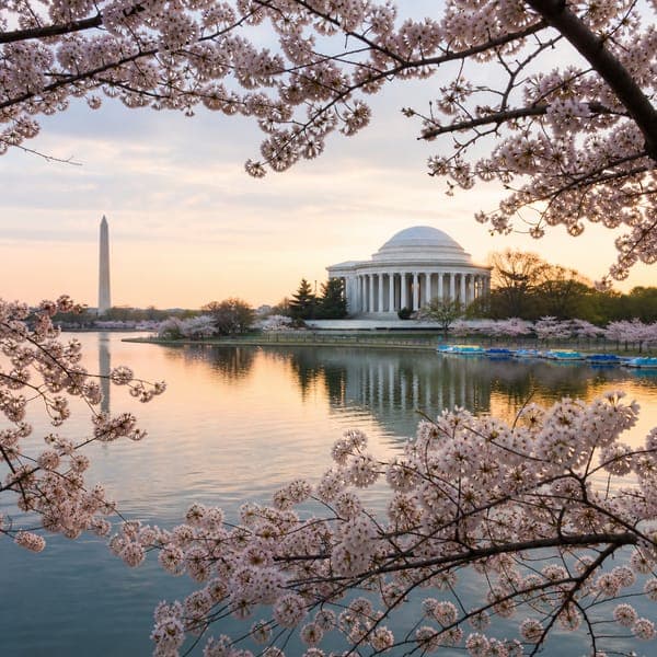 Washington, D.C. jigsaw puzzle