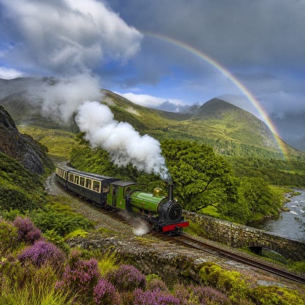 The Welsh Narrow Gauge jigsaw puzzle