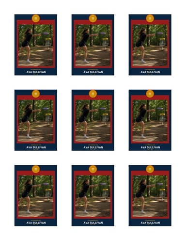 Circle Badge disc golf team sheet preview