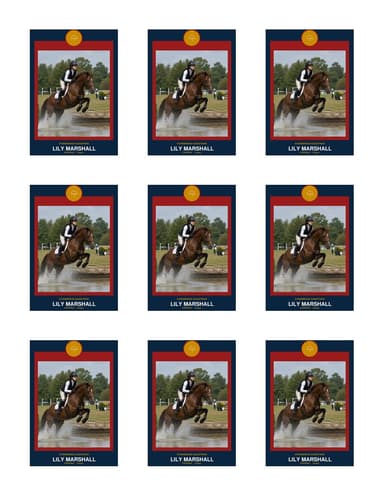 Circle Badge equestrian team sheet preview