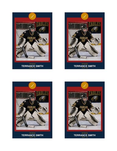 Circle Badge hockey card — normal size preview