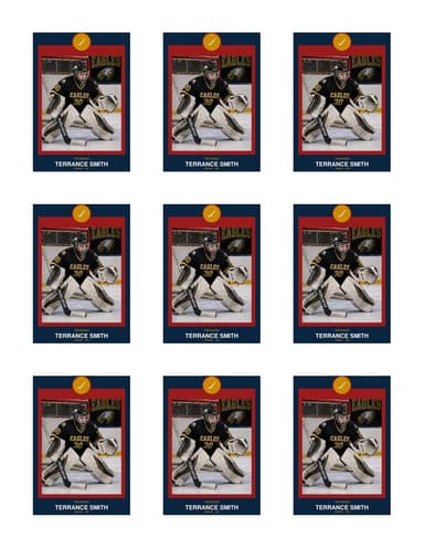 Circle Badge hockey team sheet preview