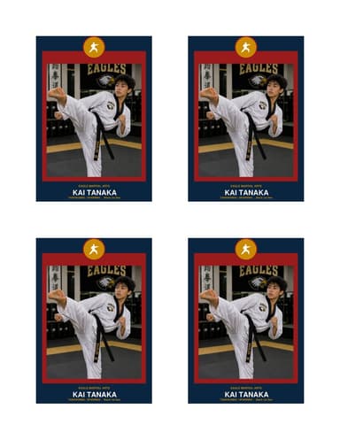 Circle Badge karate card normal preview
