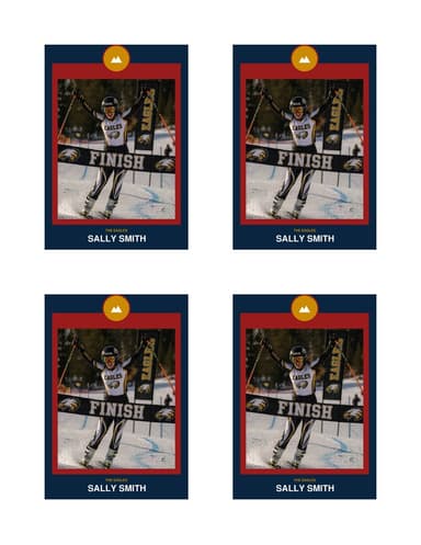 Circle Badge ski card normal preview