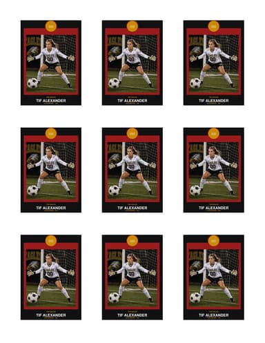 Circle Badge soccer team sheet preview