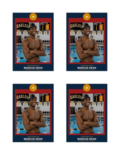 Circle Badge swimming card normal preview