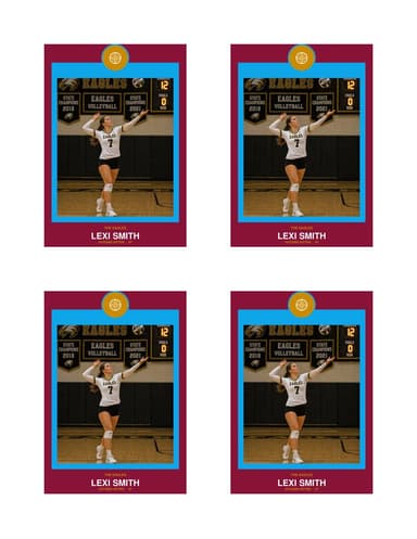 Circle Badge volleyball card — normal size preview