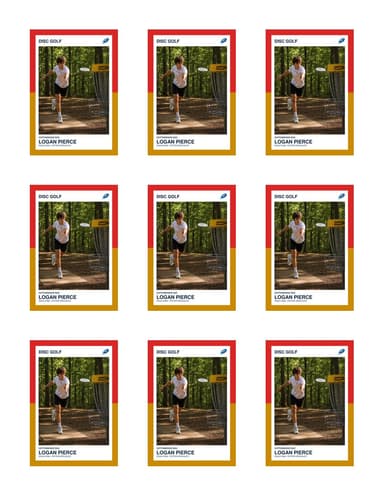 Split Halves disc golf team sheet preview