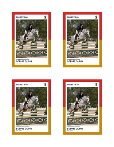 Split Halves equestrian card normal preview