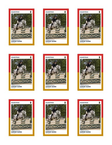 Split Halves equestrian team sheet preview