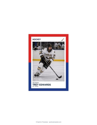 Split Halves hockey card — enlarged size preview