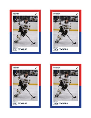 Split Halves hockey card — normal size preview