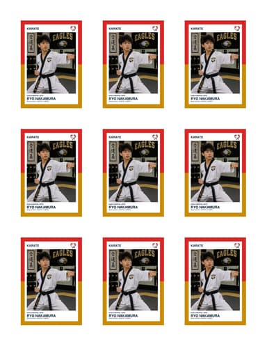 Split Halves karate team sheet preview