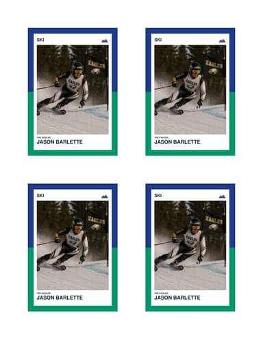 Split Halves ski card normal preview