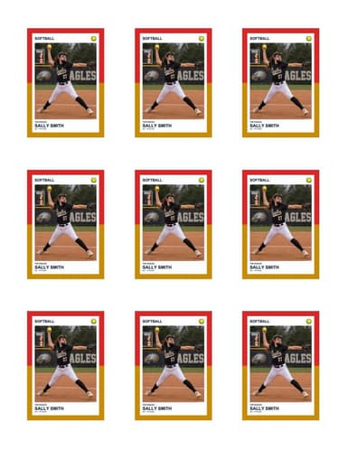 Split Halves softball team sheet preview