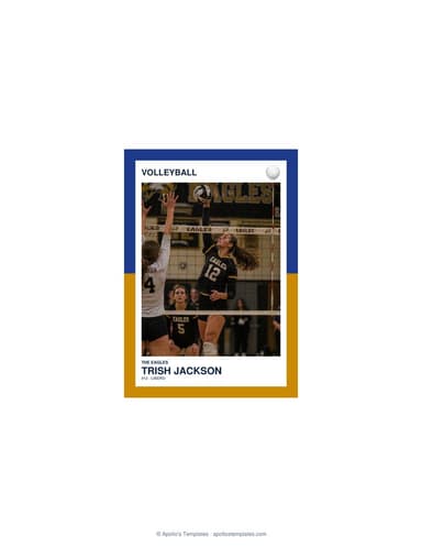 Split Halves volleyball card — enlarged size preview