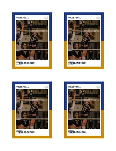 Split Halves volleyball card — normal size preview
