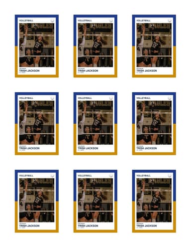 Split Halves volleyball team sheet preview