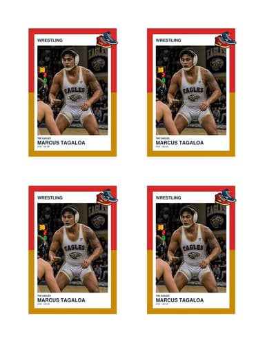 Split Halves wrestling card normal preview