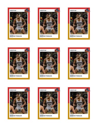 Split Halves wrestling team sheet preview