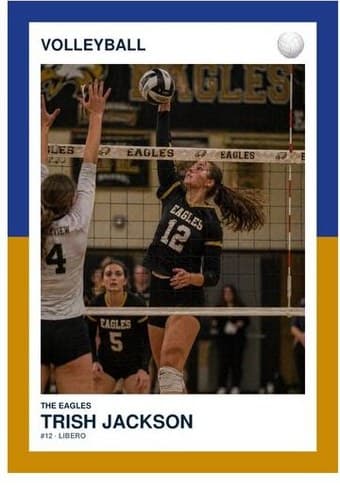 Volleyball card in the Split Halves design — a border split into two colors top and bottom, the photo centered between them, and the name and details on a white footer