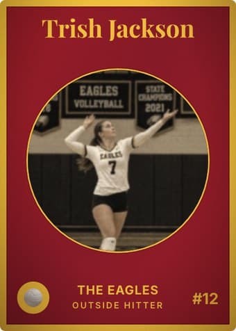 Volleyball card in the Vintage Card design — an aged photo in a gold-ringed circular window on a deep crimson card, with the name in a serif face arched across the top