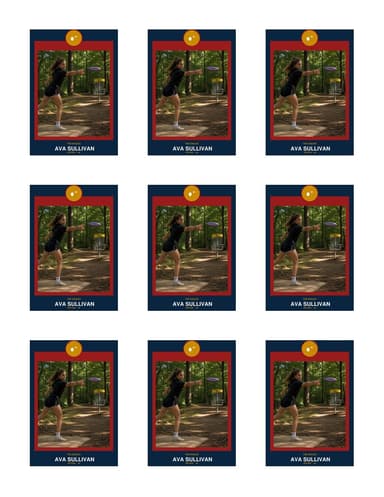 Circle Badge disc golf team sheet preview