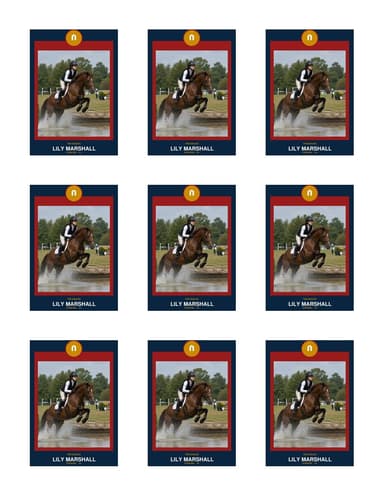 Circle Badge equestrian team sheet preview