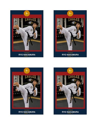Circle Badge karate card normal preview