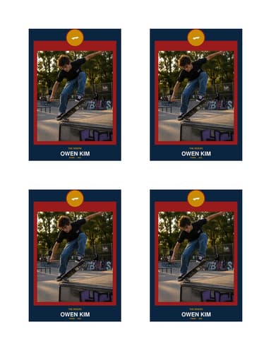 Circle Badge skateboarding card normal preview