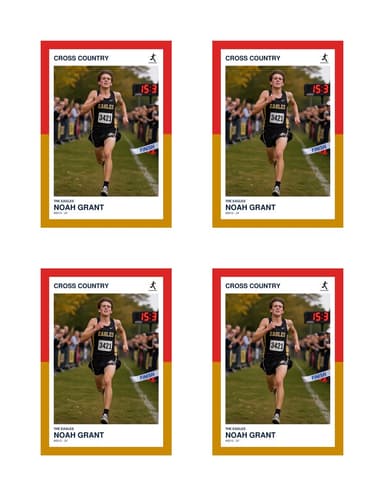 Split Halves cross country card normal preview