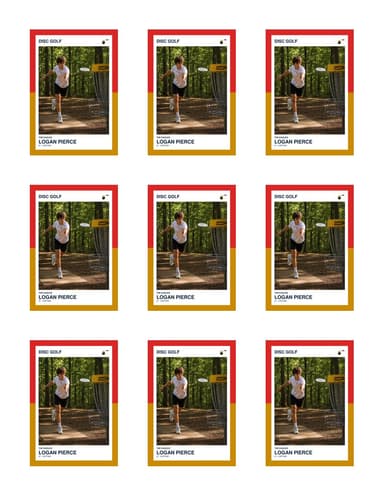 Split Halves disc golf team sheet preview