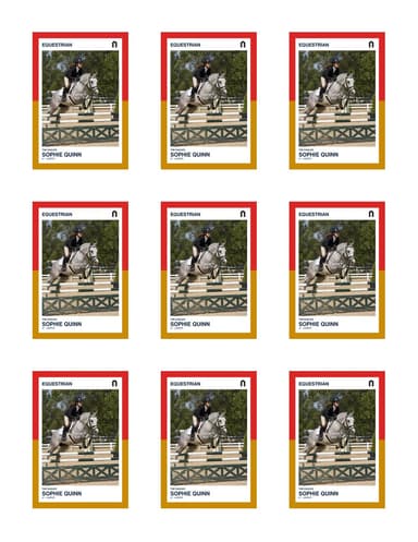 Split Halves equestrian team sheet preview
