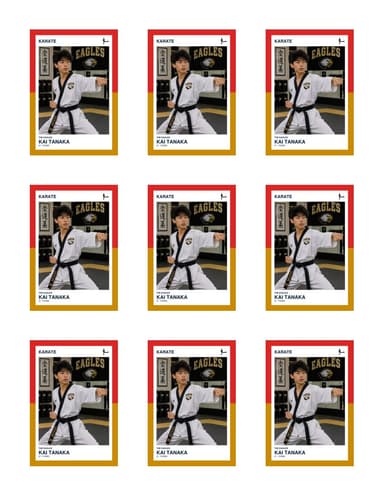 Split Halves karate team sheet preview