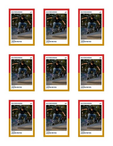 Split Halves skateboarding team sheet preview