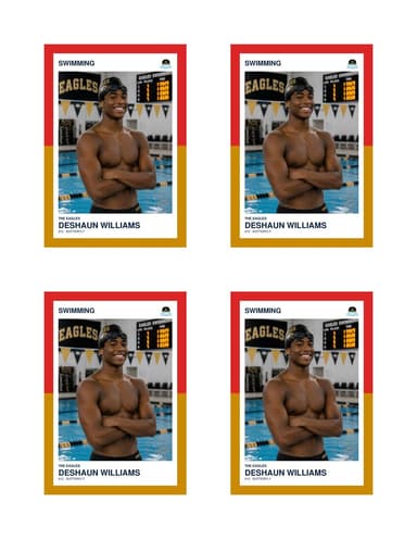 Split Halves swimming card normal preview