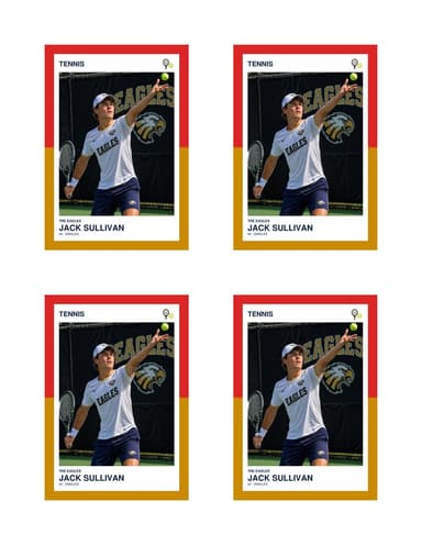 Split Halves tennis card normal preview