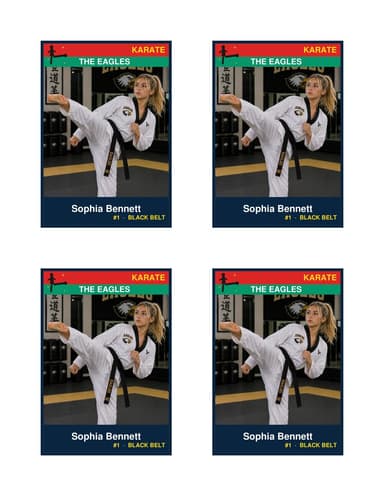 Normal size karate card template