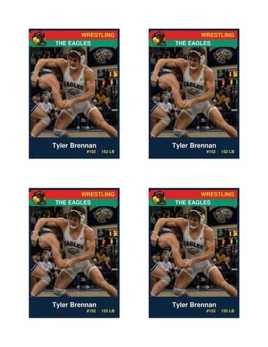 Normal size wrestling card template