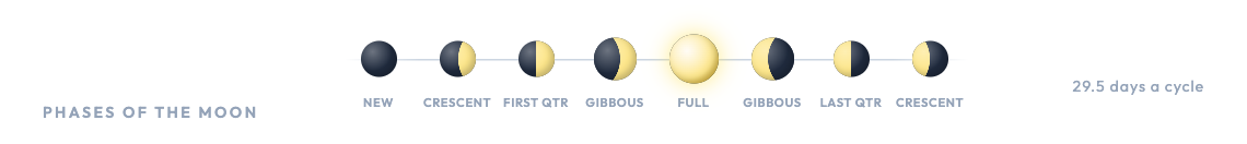 Phase strip header: the eight moon phases in a row along a thin line, each labelled from New through Full to Crescent